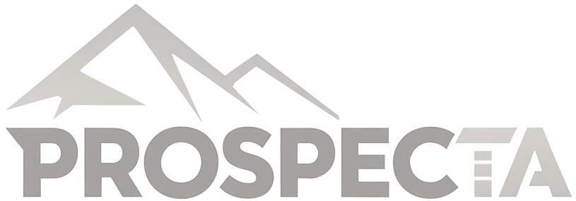 Prospecta Ingenieros Consultores S.R.L.