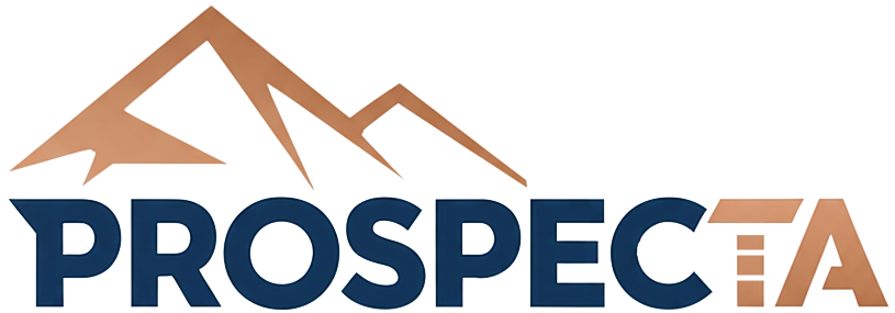 Prospecta Ingenieros Consultores S.R.L.